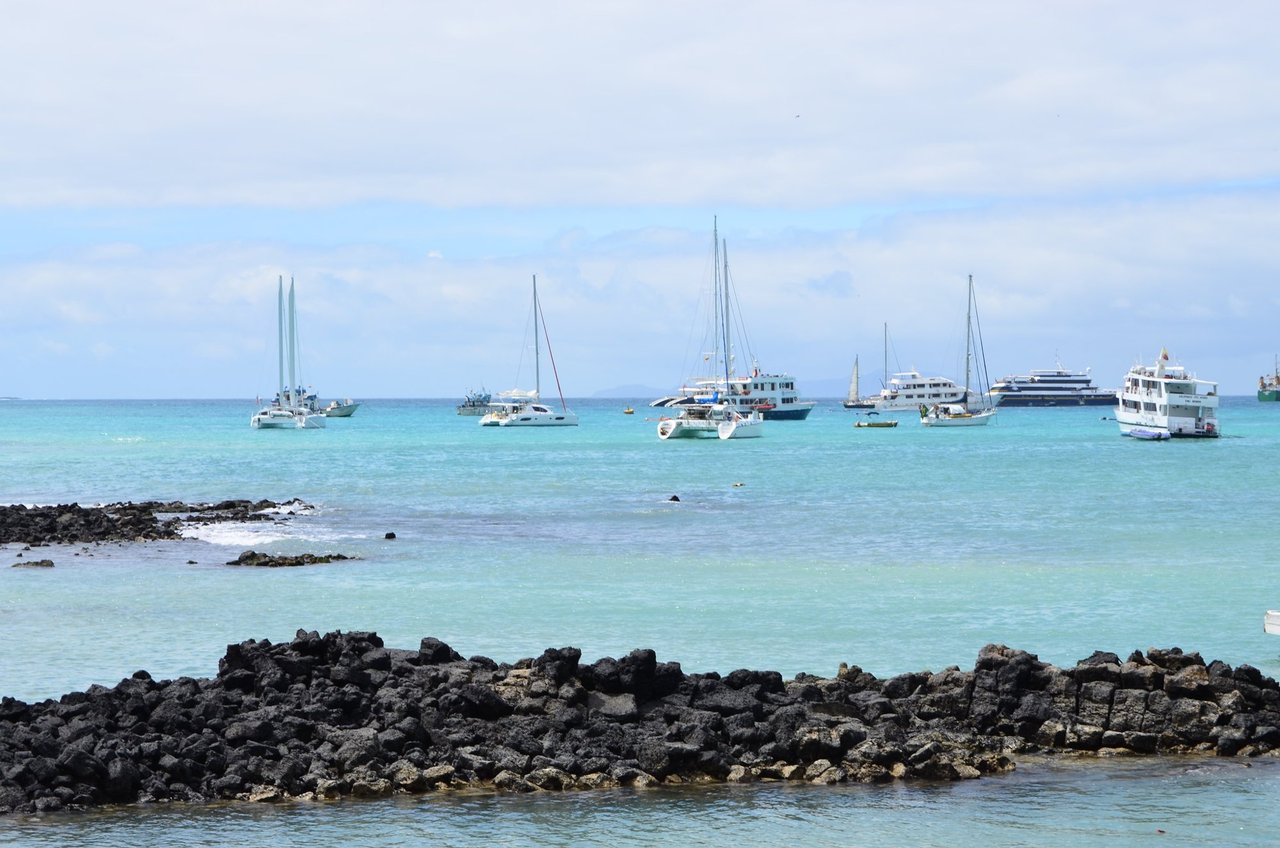 The harbour of Puerto Ayora, Santa Cruz Island