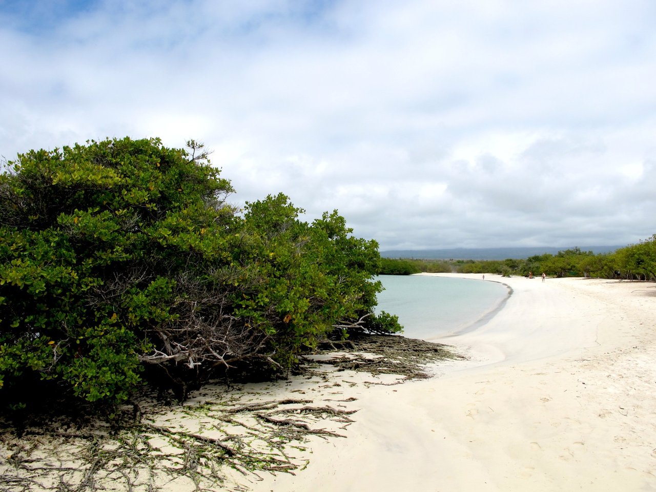 Tortuga Bay beach, Galápagos