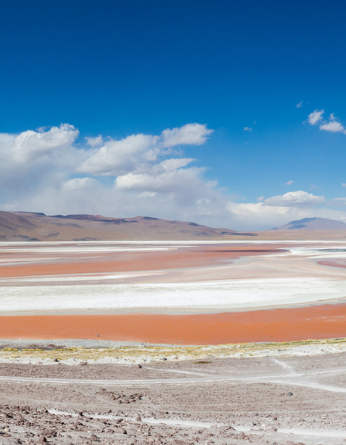 BOLIVIA – Silver, Salt and Pink Birds at Five Thousand Metres